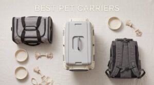 best pet carriers