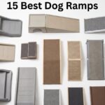best dog ramps