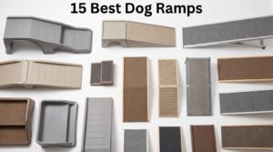 best dog ramps