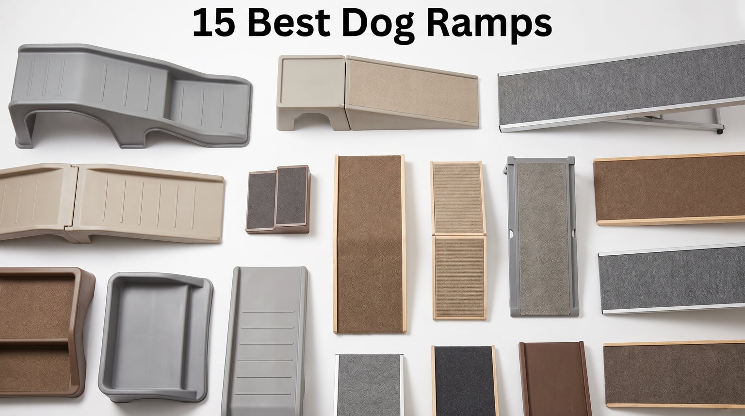 best dog ramps
