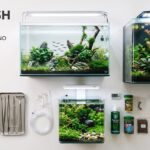 best fish tanks
