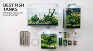 best fish tanks