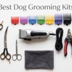 best dog grooming kits