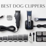 best dog clippers