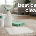 best carpet cleaners