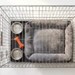 best large dog crates
