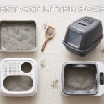 best cat litter boxes